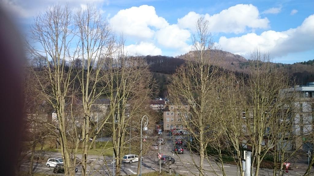Mobliertes Apartment Am Festspielhaus Baden-Baden Værelse billede